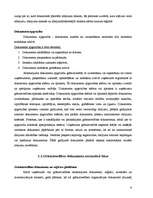 Term Papers 'Grāmatvedības dokumentu klasifikācija un organizācija uzņēmumā SIA ”X”', 9.