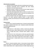 Term Papers 'Grāmatvedības dokumentu klasifikācija un organizācija uzņēmumā SIA ”X”', 13.