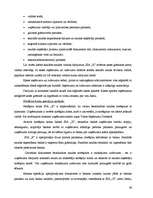 Term Papers 'Grāmatvedības dokumentu klasifikācija un organizācija uzņēmumā SIA ”X”', 36.