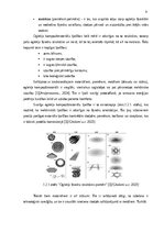 Research Papers 'Oglekļa kompozītmateriāli ekstremitāšu protezēšanā: priekšrocības un trūkumi', 10.
