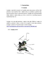 Research Papers 'Apskata Referāts', 4.