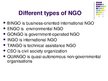 Presentations 'Non-Governmental Organizations: History', 10.