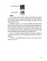 Research Papers 'Augļu un dārzeņu pārstrādes uzņēmumu sektors Latvijā', 18.