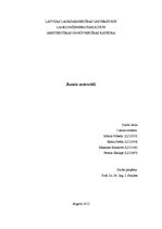 Research Papers 'Būvmateriāli: jumta konsrukcijas un segumi', 1.