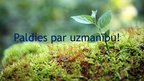 Presentations 'Vides un ekoloģijas problēmas Lavijā', 17.