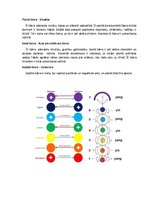 Summaries, Notes 'Sieviete - Vīrietis Čakru atškirība un mijiedarbība', 6.