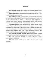 Term Papers 'Kustību rotaļa – 4-5 gadus veca pirmsskolēna sadarbības prasmju attīstītāja', 2.