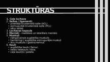 Presentations 'Ceļa hiperekstensija', 3.