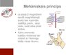 Presentations 'Elektroenerģijas ražošanas principi', 8.