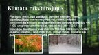 Presentations 'Platlapju mežu ekosistēma', 3.