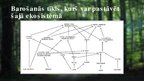Presentations 'Platlapju mežu ekosistēma', 13.