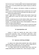 Term Papers 'Vadības stili un līmeņi SIA "X"', 31.