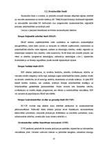 Research Papers 'Valsts atbalsts MVU: iemesli un formas pasaulē un Latvijā', 45.