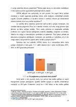 Term Papers 'Patstāvīgās dzīves uzsākšanas programma jauniešiem pēc ārpusģimenes aprūpes', 16.