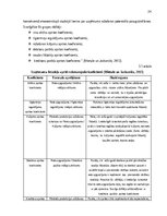 Term Papers 'Krājumu uzskaites pilnveide mazumtirdzniecības uzņēmumā', 23.