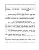 Term Papers 'Krājumu uzskaites pilnveide mazumtirdzniecības uzņēmumā', 24.