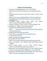 Term Papers 'Krājumu uzskaites pilnveide mazumtirdzniecības uzņēmumā', 46.