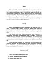 Research Papers 'Lietuvas Republikas tiesu sistēma, tās salīdzinājums ar Latvijas Republikas ties', 2.