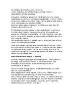 Summaries, Notes 'Anša pērļu meklēšanas ceļš pamatots ar citātiem', 2.