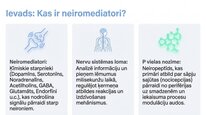 Presentations 'P viela kā neiromediators un neiropeptīds', 2.