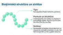Presentations 'P viela kā neiromediators un neiropeptīds', 4.