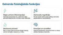 Presentations 'P viela kā neiromediators un neiropeptīds', 6.