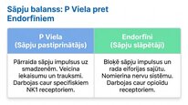 Presentations 'P viela kā neiromediators un neiropeptīds', 12.