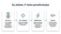Presentations 'P viela kā neiromediators un neiropeptīds', 13.