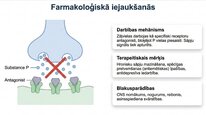 Presentations 'P viela kā neiromediators un neiropeptīds', 16.