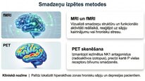 Presentations 'P viela kā neiromediators un neiropeptīds', 19.