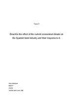 Summaries, Notes 'Describe the Effect of the Current Economical Climate on the Spanish Hotel Indus', 1.