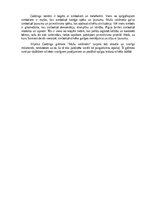 Essays 'Eseja par romānu "Mušu valdnieks"', 2.