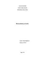 Research Papers 'Harizmātiska personība - Nikola Sarkozi', 1.