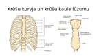 Presentations 'Iegurņa kaula lūzumi, iegurņa stabilizācijas tehnikas. Krūšu kurvja, krūšu kaula', 36.