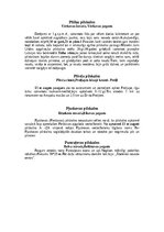 Summaries, Notes 'Pilskalni Latgalē', 13.