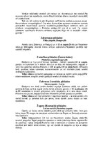 Summaries, Notes 'Pilskalni Latgalē', 18.