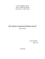 Research Papers 'SIA "Amadora" uzņēmuma dibināšanas process', 1.