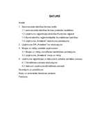Research Papers 'SIA "Amadora" uzņēmuma dibināšanas process', 4.