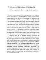 Research Papers 'SIA "Amadora" uzņēmuma dibināšanas process', 6.