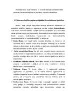 Research Papers 'SIA "Amadora" uzņēmuma dibināšanas process', 11.