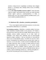 Research Papers 'SIA "Amadora" uzņēmuma dibināšanas process', 12.