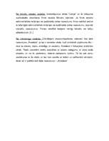 Research Papers 'SIA "Amadora" uzņēmuma dibināšanas process', 13.