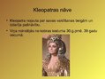 Presentations 'Kleopatra VII', 6.
