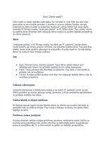 Essays 'Dzīves mirkļi', 1.