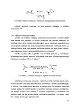 Term Papers 'Aziridīn-2-karboksamīda cikla uzslēgšanas pētījumi', 22.