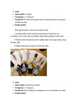 Summaries, Notes '4 spēles (Sociālās un pilsoniskās mācību joma)', 2.