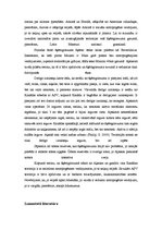 Research Papers 'Fizioģeogrāfiskais profils Ankoridža - Maiami', 17.