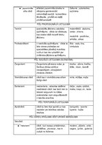 Samples 'Vārdu krājums', 2.