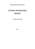 Practice Reports 'Studiju pētnieciskā prakse', 1.