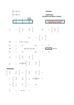 Summaries, Notes 'Dubultās matricas kalkulators - matricu metode', 1.